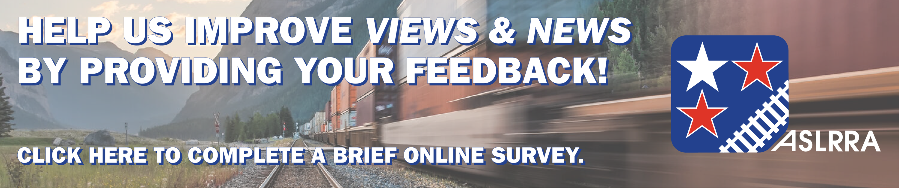 V&N Survey Banner Ad