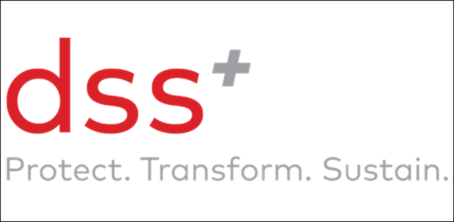 DSS logo